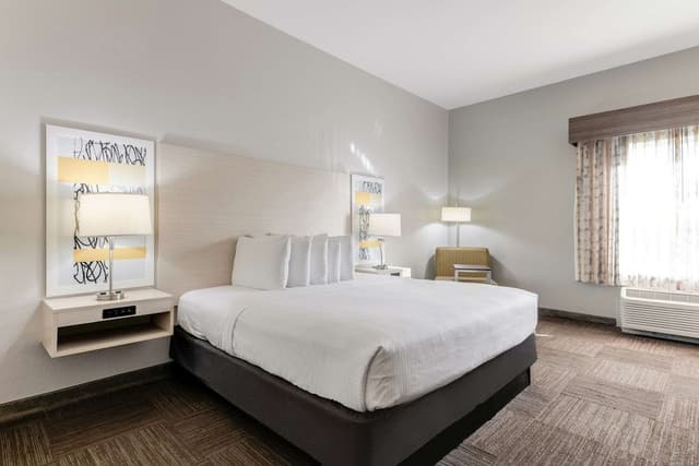 Standard Room, 1 King Bed, Non Smoking, Microwave