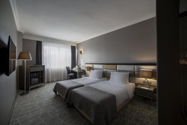 Superior Double or Twin Room