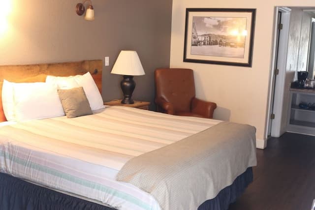 Superior Room, 1 King Bed (No Pets)