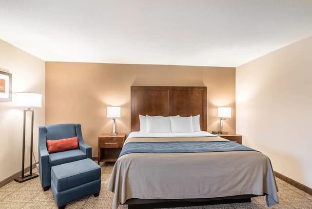 Standard Room, 1 King Bed, Non Smoking
