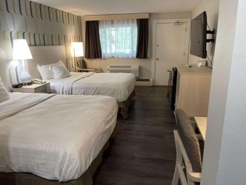 2 Queen Beds,Non Smoking,Pet Friendly,Mountain View