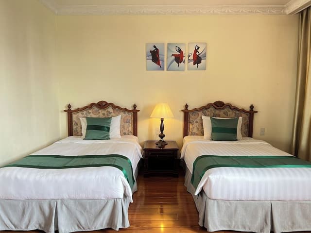 Deluxe Double or Twin Room