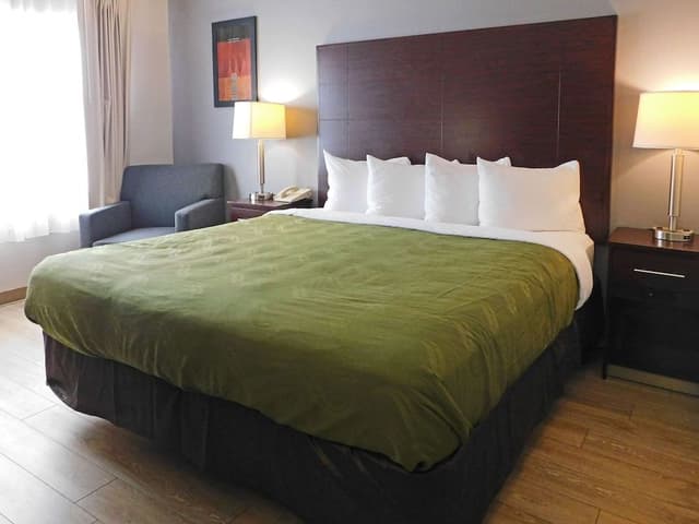 Room, 1 King Bed, Non Smoking