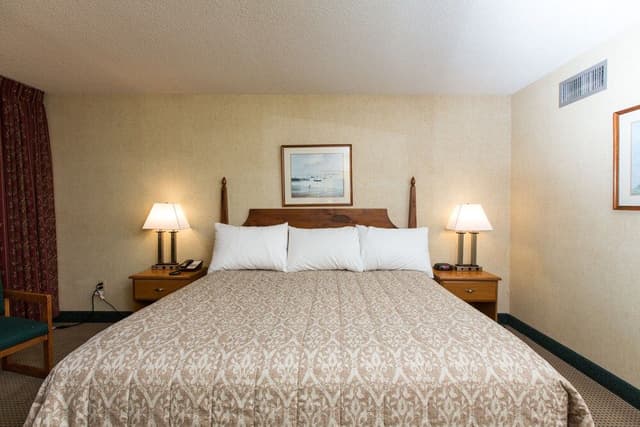 Deluxe Room, 1 King Bed. Pet Availability Limited. Please inform of pets at time of booking.