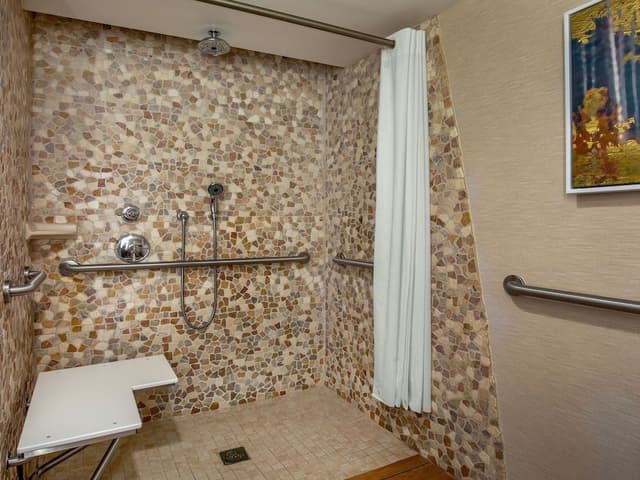 Room, 1 King Bed (Resort King Accessible Room)