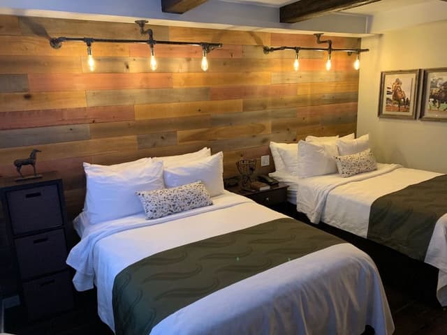 Basic Suite, 2 Double Beds