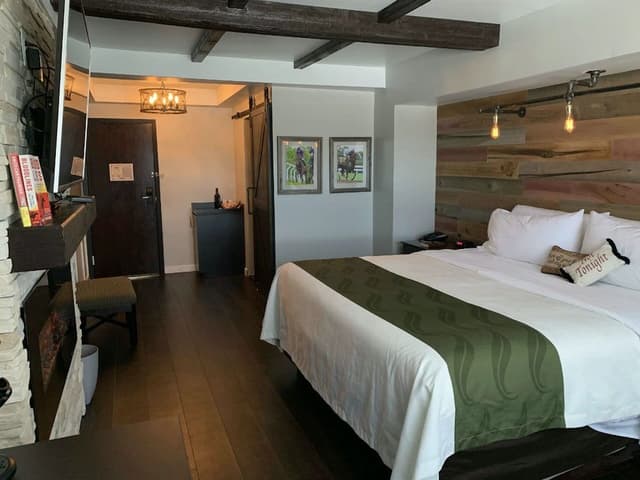 Classic Suite, 1 King Bed