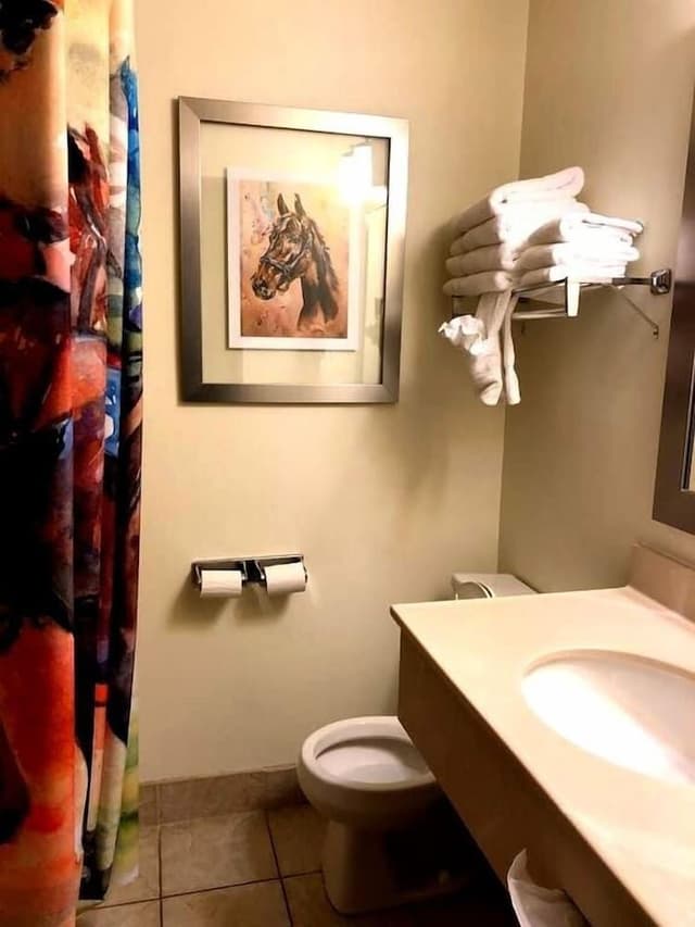 Basic Suite, 2 Double Beds