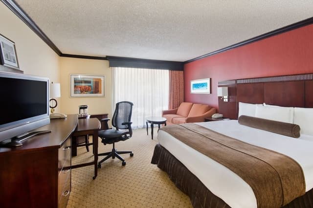 Standard Room, 1 King Bed with Sofa bed