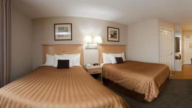 Studio Suite, 2 Double Beds