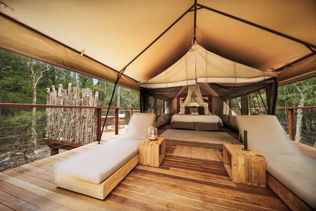 Deluxe Tent, 1 King Bed, Resort View