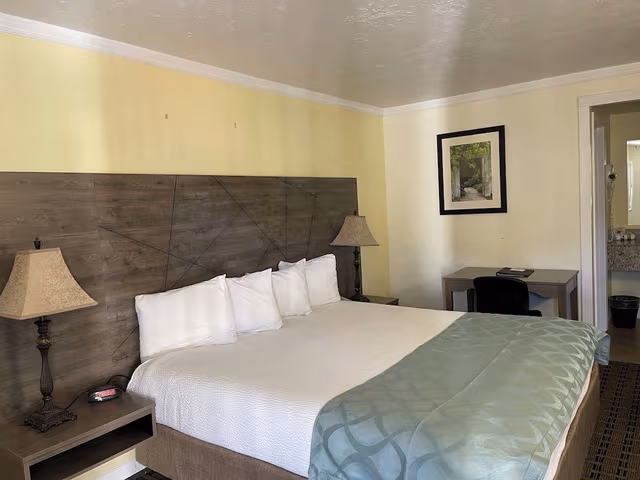 Traditional Room, 1 King Bed