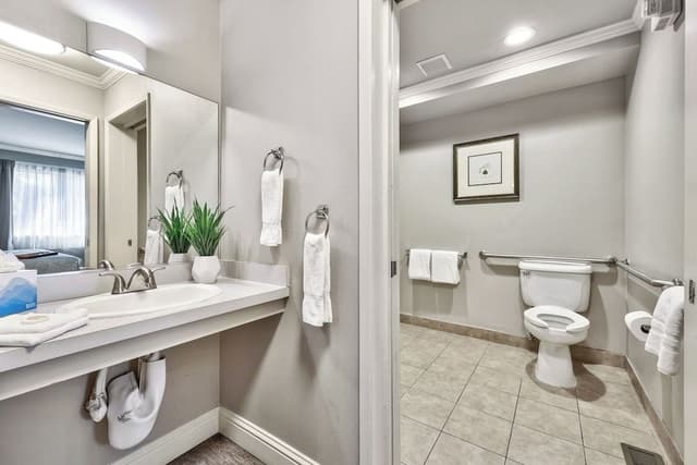 Deluxe Suite, 1 Bedroom (ADA)