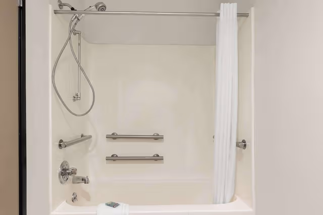 Standard Room, 1 King Bed, Accessible, Refrigerator & Microwave (Pet Friendly)