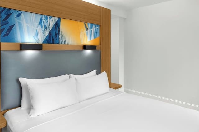 Suite, 1 King Bed with Sofa bed