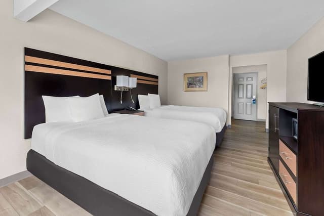 Double Room, 2 Double Beds