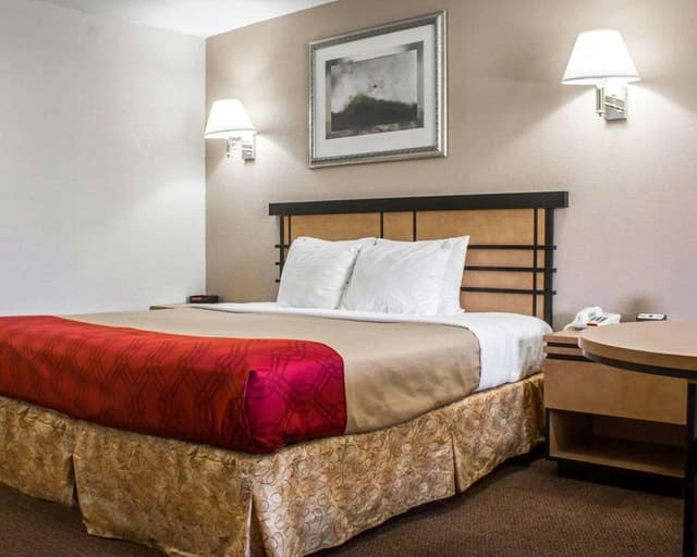 Standard Room, 1 King Bed, Non Smoking