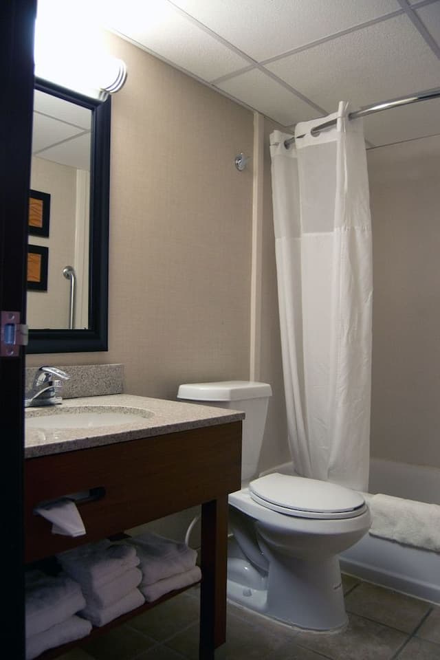 Standard Double Room, 2 Double Beds, Non Smoking