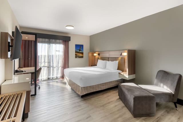 Standard Room, 1 King Bed, Non Smoking, Refrigerator & Microwave