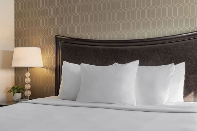 Suite, 1 King Bed