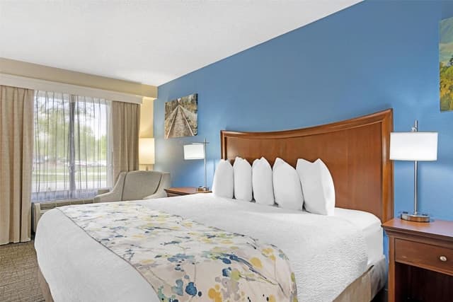 Standard Room, 1 King Bed, Accessible, Non Smoking