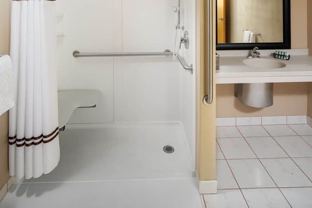 Standard Room, 1 King Bed, Accessible, Non Smoking (Walk-in Shower)