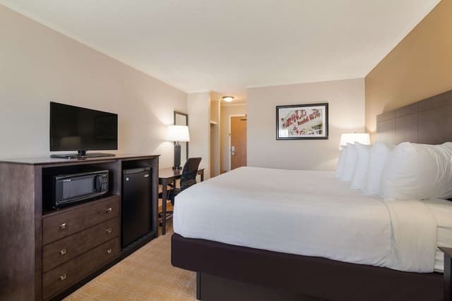 Standard Room, 1 King Bed, Accessible, Non Smoking