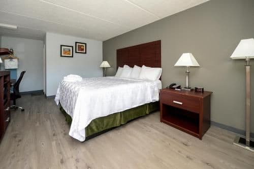 1 King Accessible Room