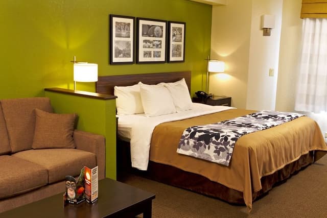 Suite, 1 King Bed with Sofa bed, Non Smoking