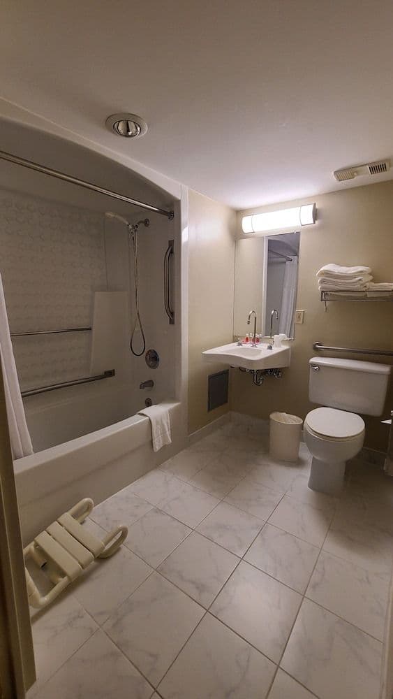Room, 1 King Bed, Accessible, Non Smoking