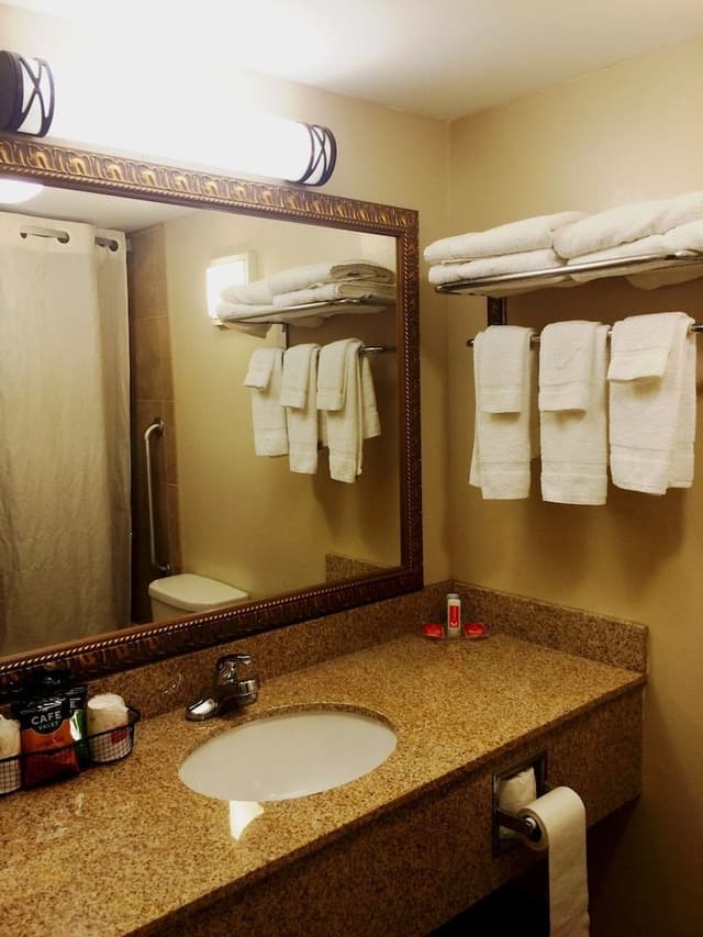 Standard Room, 1 King Bed, Non Smoking (Ground Floor, Pets Allowed)