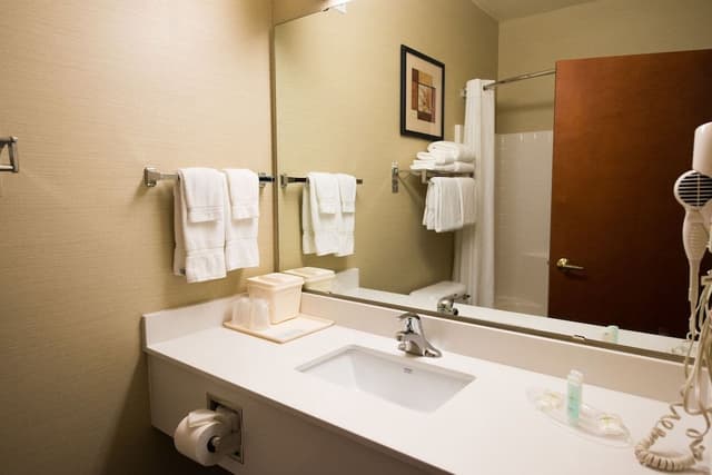 Suite, 1 King Bed with Sofa bed, Non Smoking (Pet Friendly)