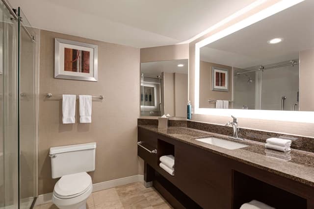 1 QUEEN BED MOBILITY ACCESSIBLE RI SHOWER