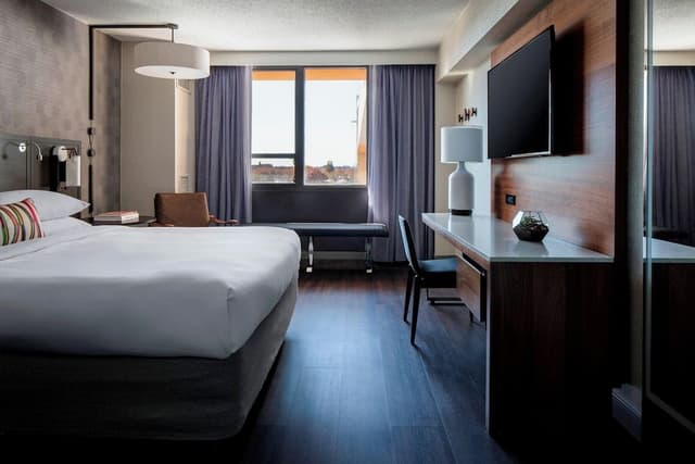 Room, 1 King Bed (Mobility/Hearing Accessible, Tub)