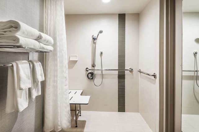 Room, 1 King Bed, Accessible (Roll-in Shower)
