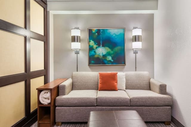 Room, 1 King Bed, Accessible (Roll-in Shower)