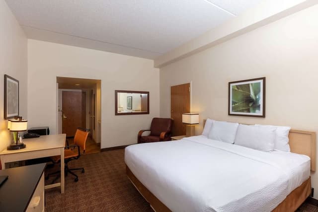 Room, 1 King Bed, Non Smoking