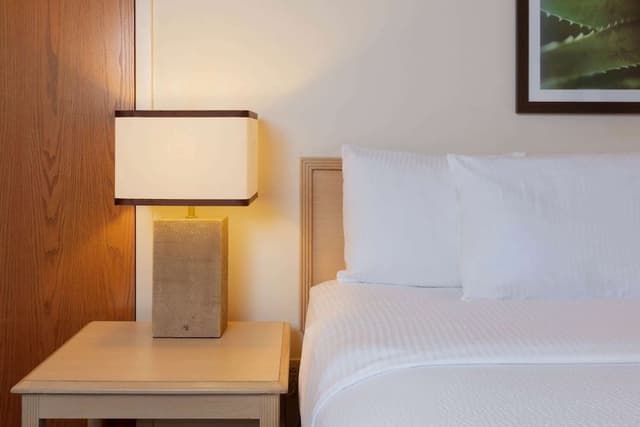 Deluxe Studio Suite, 1 King Bed, Non Smoking (Family)