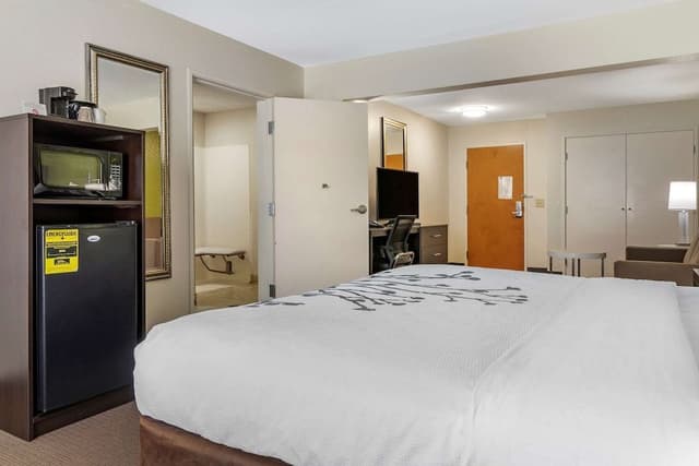 Room, 1 King Bed, Accessible, Non Smoking