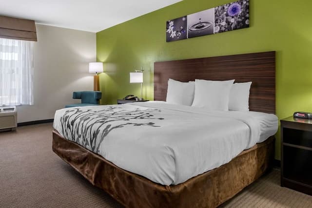 Standard Room, 1 King Bed, Non Smoking