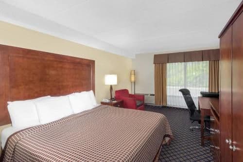 1 King Bed, Mobility/Hearing Accessible Room, Roll-In Shower, Non-Smoking