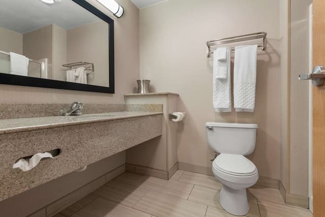 Standard Room, 1 King Bed, Non Smoking, Jetted Tub