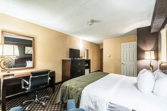 Room, 1 King Bed, Accessible, Non Smoking
