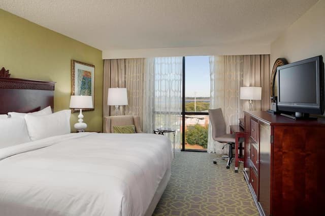 Room, 1 King Bed