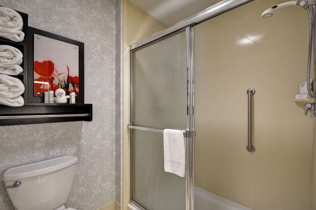 1 KING BED STUDIO SUITE NONSMOKING