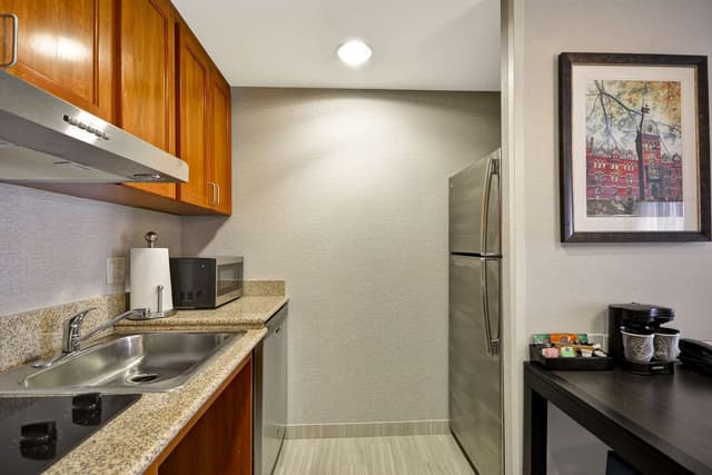 1KING HEARING ACCESSIBLE STUDIO SUITE NOSMOK