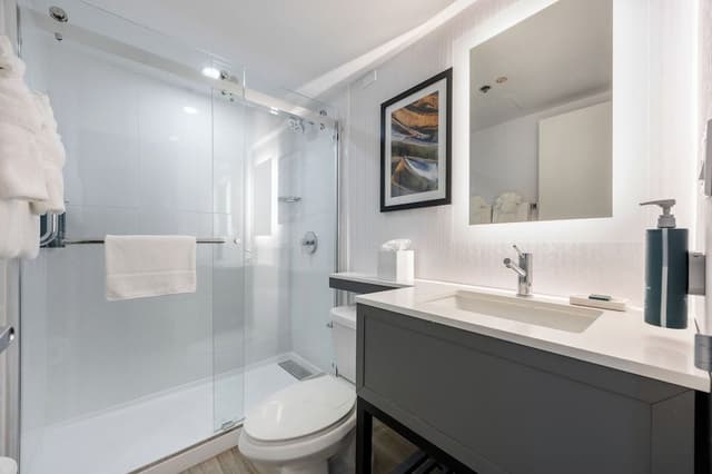 Room, 1 King Bed, Accessible (Mobility & Hearing)