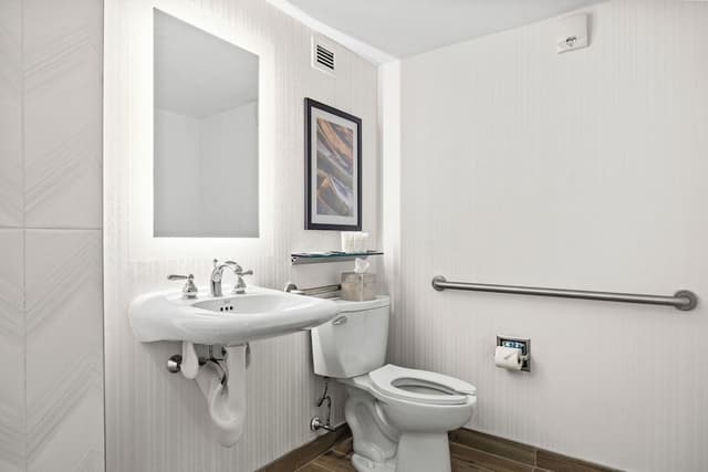 Room, 1 King Bed, Accessible (Mobility & Hearing)