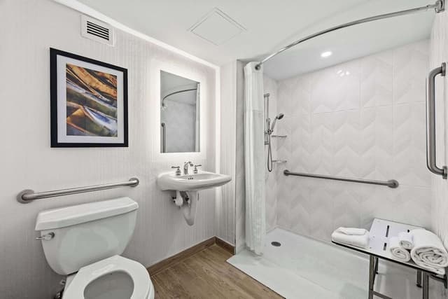 Room, 1 King Bed, Accessible (Mobility & Hearing)