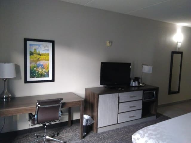 Executive Room, 1 King Bed, Non Smoking